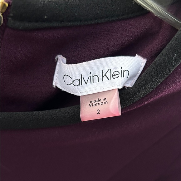 Calvin Klein Purple Dress with Black Accents - Picture 4 of 6